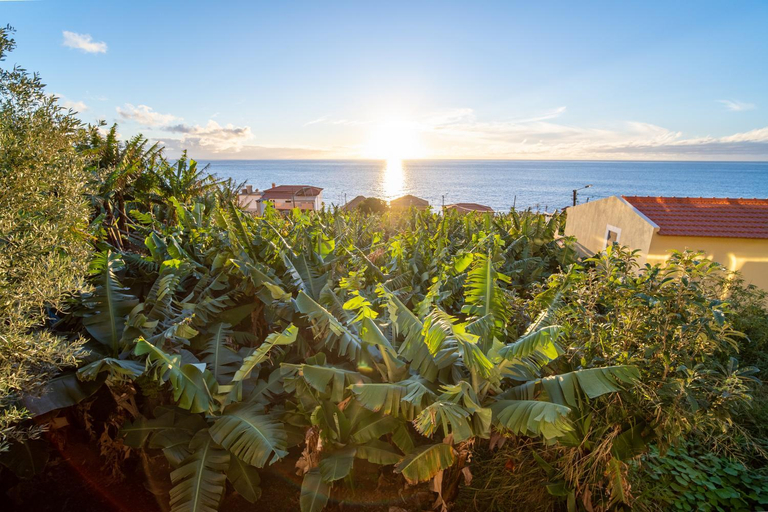 Others 4, Beach Sunset Villa 100m from Ocean & Beach, Calheta