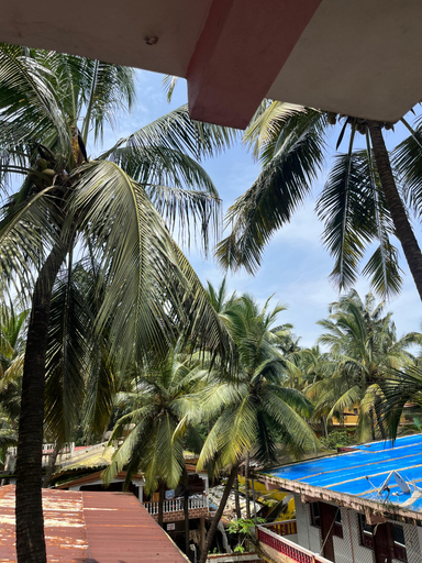 Sport & Beauty, Abbi S Nest, North Goa