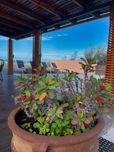 Others 4, Villa De La Vita, Alykes, Ionian Islands