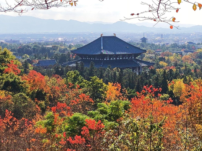 Others 4, Nara Park Blue Sky, Nara