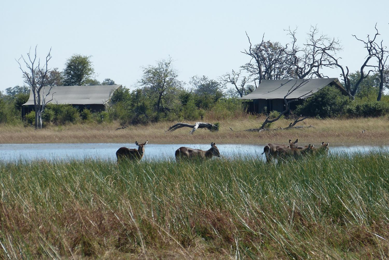 Others 5, Nogatsaa Pans Lodge, Chobe