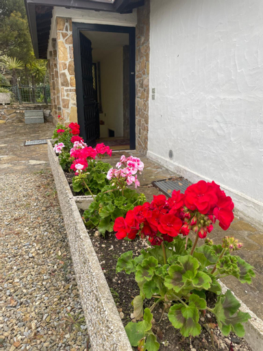 Villa Lilli, Imperia