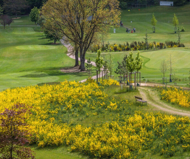 Golf 3, Weiherhof Comfortable Holiday Residence, Merzig-Wadern