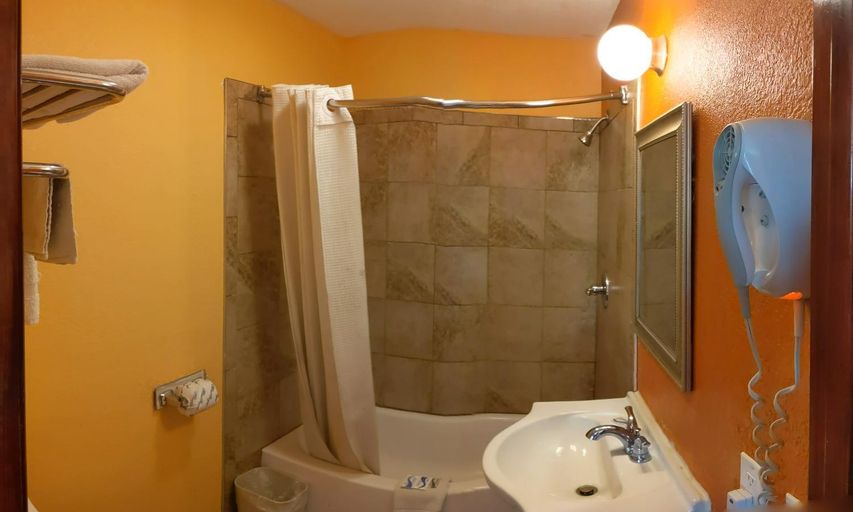 Bathroom 2, Budget Inn, Macon