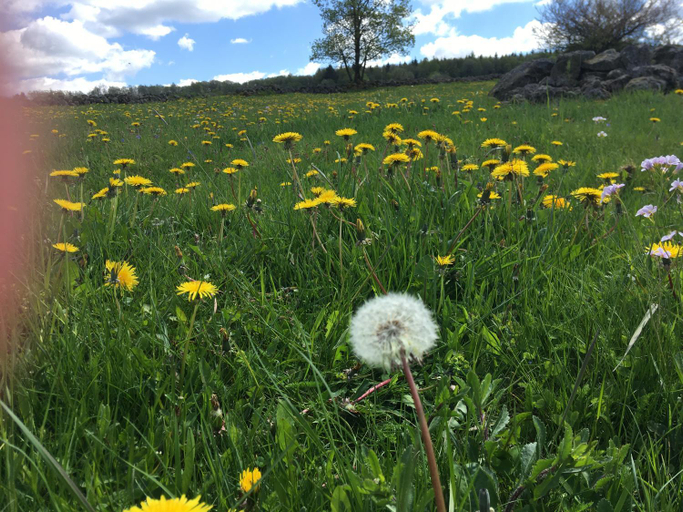 Others 3, Rhoner Sternenhimmel FeWo 1 und 2, Schmalkalden-Meiningen
