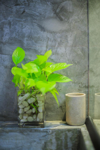 Bathroom 3, in My place cafotel, Khlong Thom