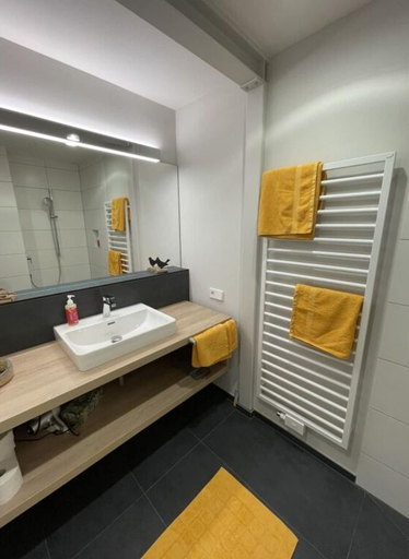 Bathroom 3, Hochgrat View in Steibis, Haus Akelei, Oberallgäu