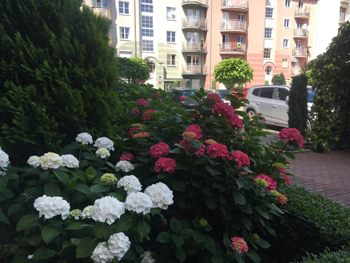 Others 5, Hostel Annamarie, Szczecin
