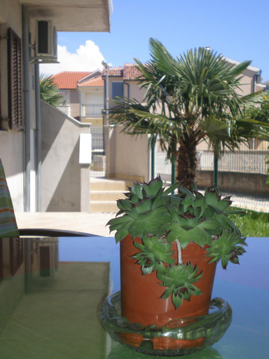 Others 2, Apartments Anita Frane, Vodice