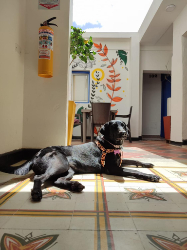 Others 5, Casa Flor Hostel & Drinks, Manaure