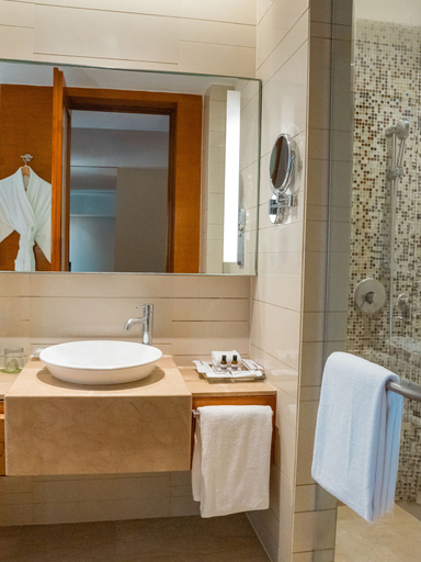 Bathroom 5, Hyatt Pune, Pune