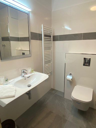 Bathroom 5, Hotel Regina, Rhein-Sieg-Kreis