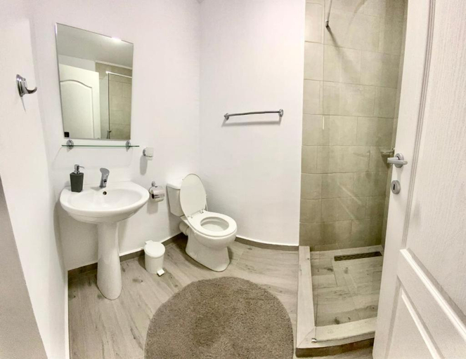 Bathroom, Casa Munteanu, Crisan
