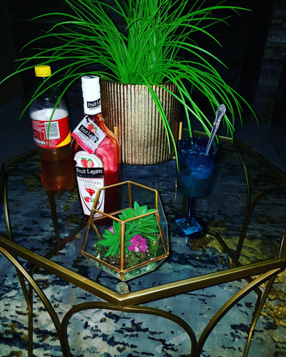 Food & Drinks, Ko-Porch luxury guest house, Capricorn
