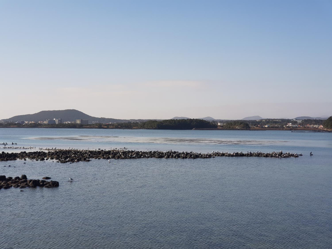 Others 5, Purmir Pension, Seogwipo