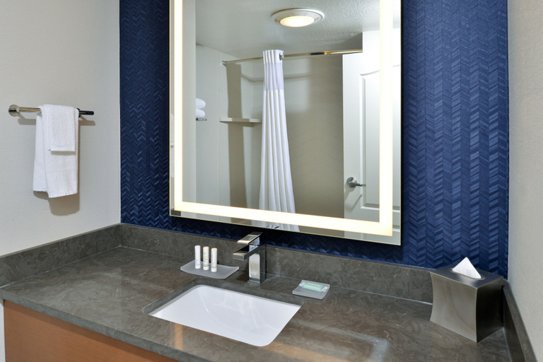Bathroom 3, Fairfield Inn & Suites by Marriott Goshen Middletown, Orange
