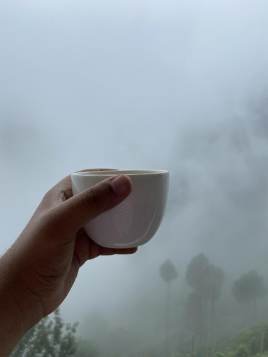 Food & Drinks 4, Pristine Mountain Lodge, Solan