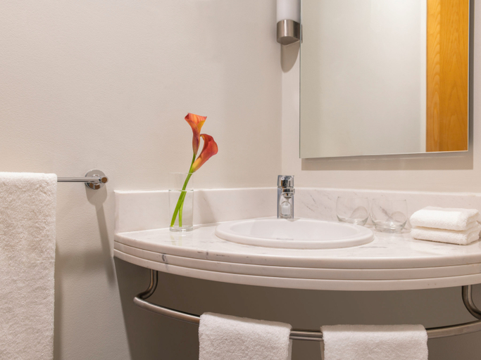 Bathroom 5, ibis Doha, Doha
