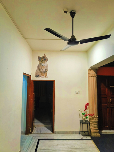 Others 5, Ohh Hostler Jaipur, Jaipur