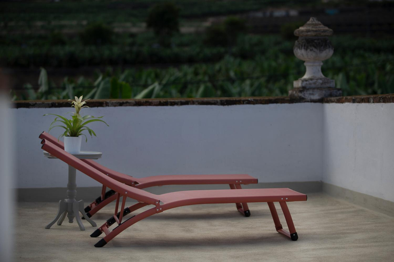 Others 4, Hacienda Los Orovales, Santa Cruz de Tenerife