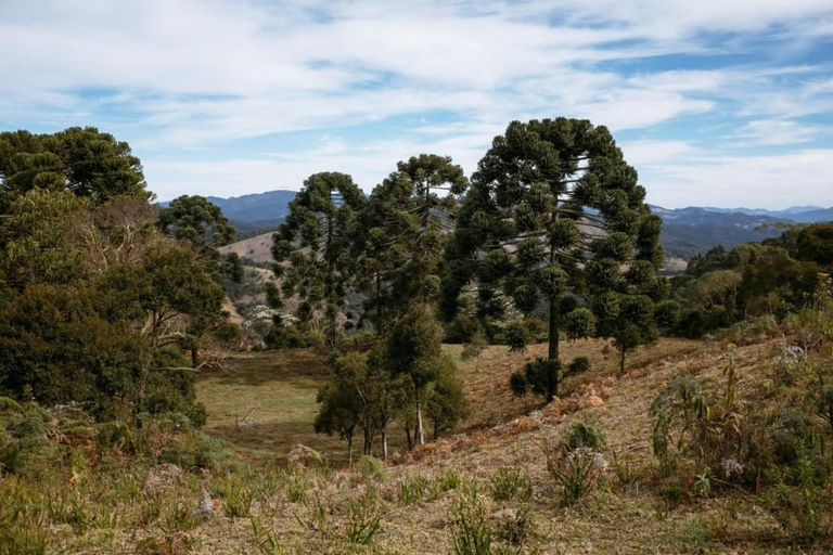 Others 3, Chale da Mata, Sapucaí-Mirim