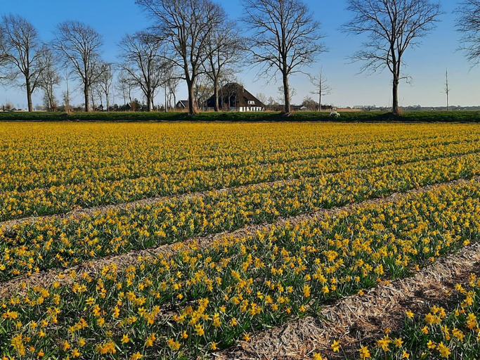 View from property 2, Spacious Holiday Home De Pauwenhof, Heiloo
