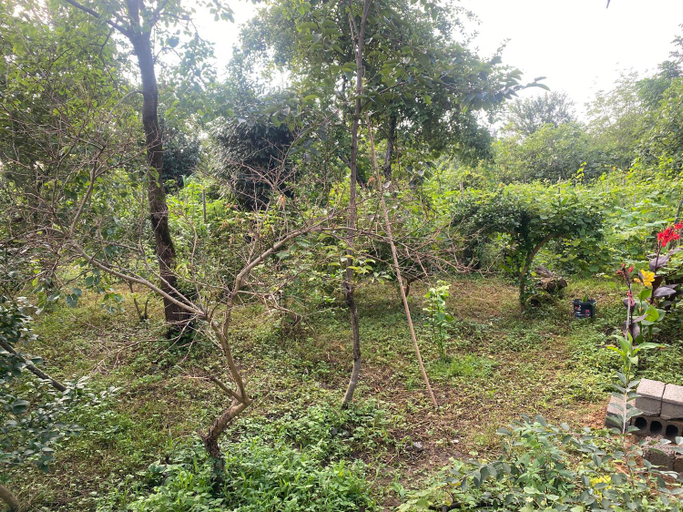 Surrounding environment, OrAnge villa, Batumi