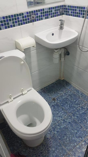 Bathroom, New Prime Star Mirador B1, Kowloon