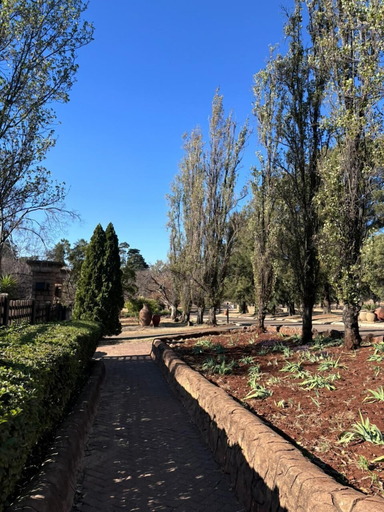 Garden, Shonalanga Valley Resort, City of Tshwane