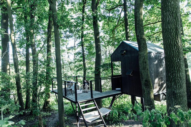Others 2, KeepCalm Treehouse far from the civilization, Jičín