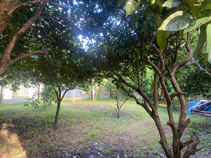 Garden 4, OrAnge villa, Batumi