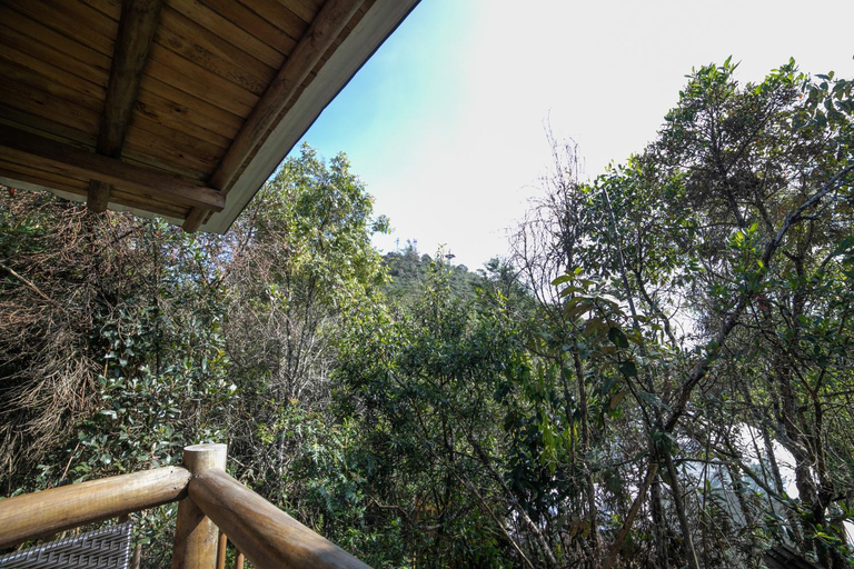 Others 2, Cerro Verde Mirador, Medellín