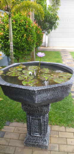 Others 4, White Queen Residence, Tangalle
