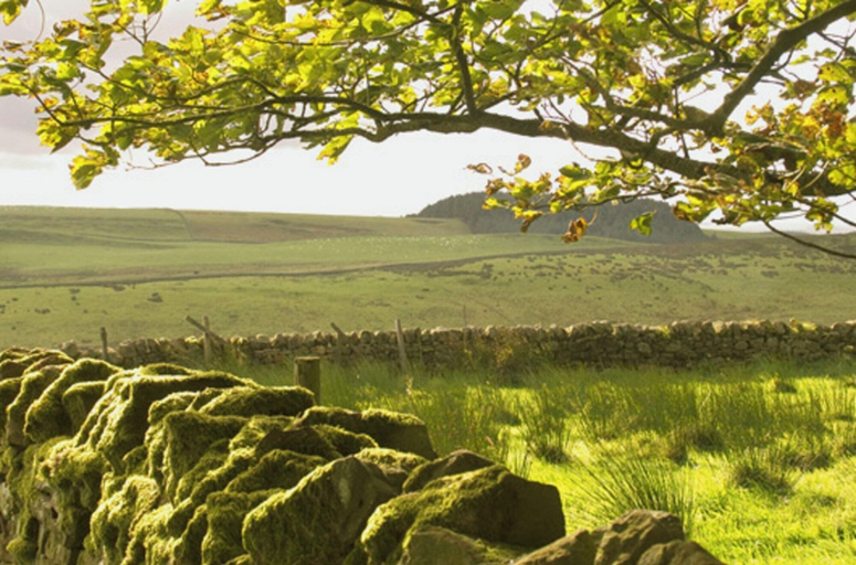 Others 4, Tranquil 3 Bed - All En Suite - Cottage in Hexham, Northumberland