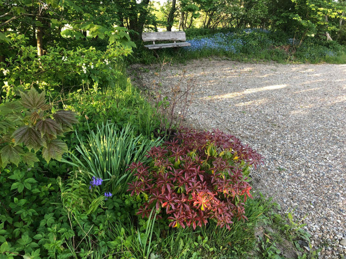Garden 4, Landevejens B&B Holstebro, Holstebro