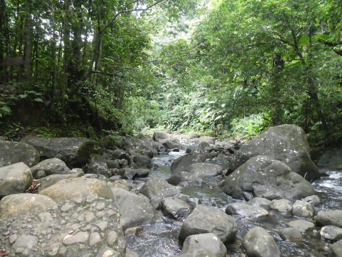 Surrounding environment 3, Sous les manguiers, Pointe-Noire