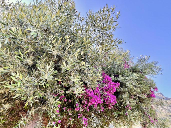 Others 4, Barbati Blu & Verde Beach Houses with pool by DadoVillas, Ionian Islands