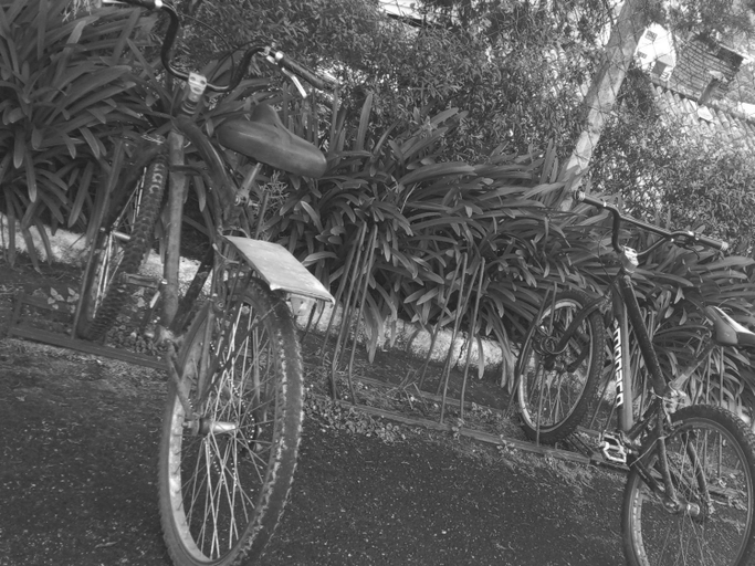Others 5, Pousada Campos SONHO MEU, Campo Limpo Paulista