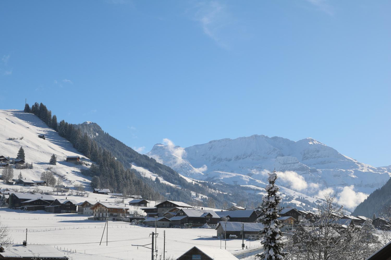Others 4, Hotel & Restaurant Diana, Obersimmental