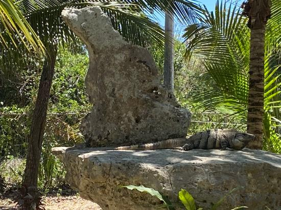 Others 3, Villa Tortugas, Cozumel
