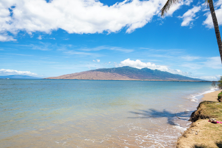 Others 5, Romannas Golden Ray Oceanfront Condo, Maui
