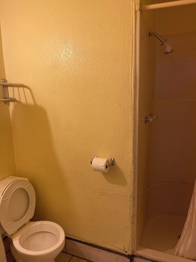 Bathroom 4, Plaza Motel, Jones