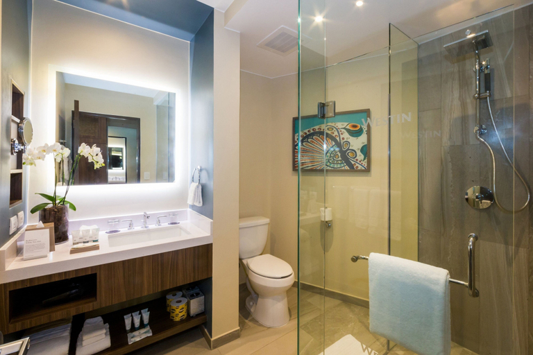 Bathroom 5, The Westin Los Cabos Resort Villas, La Paz