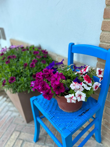 Others 5, B&B Savoia San Salvo, Chieti