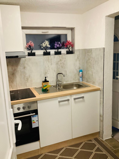 Others 3, Apartment Malti, Waldshut