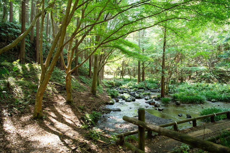 Others 3, Overnight Park INN THE PARK, Numazu