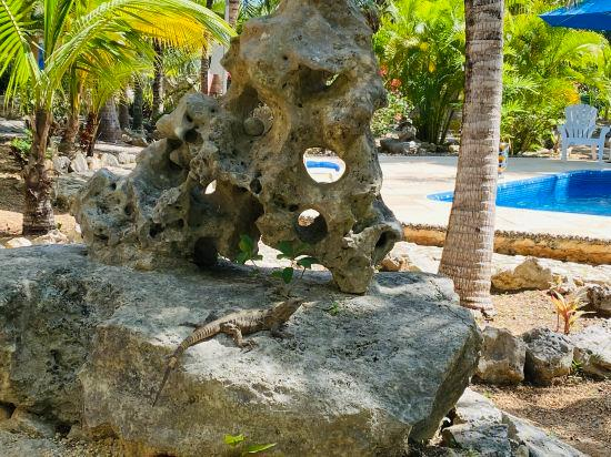 Others 2, Villa Tortugas, Cozumel