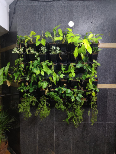 Others 3, Sweet Memories- Perfect home stay, Chennai