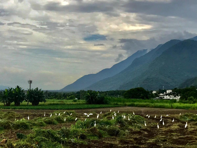 Others 5, Taroko Flowerfield Homestay, Hualien