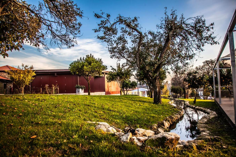 Others 5, Quinta do Esquilo - Hotel Rural, Amares